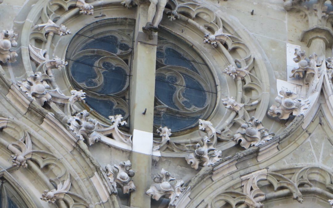 Dombesuch der evangelischen Gruppe der fünften Klassen