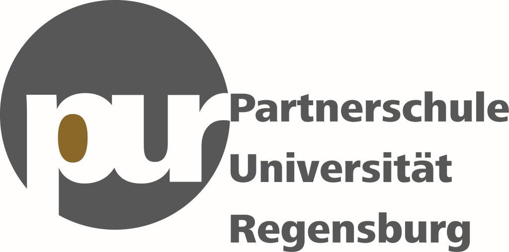 Logo und Link Partnerschule Universität Regensburg