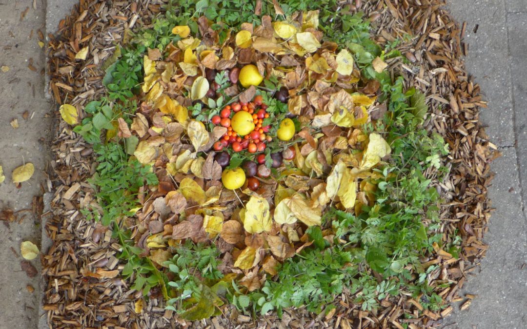 Land Art im Pausenhof – Upcycling der Natur