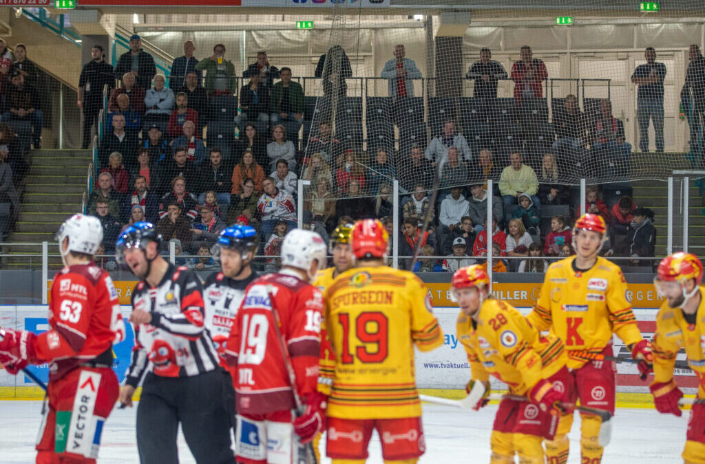 Eishockey Regensburg